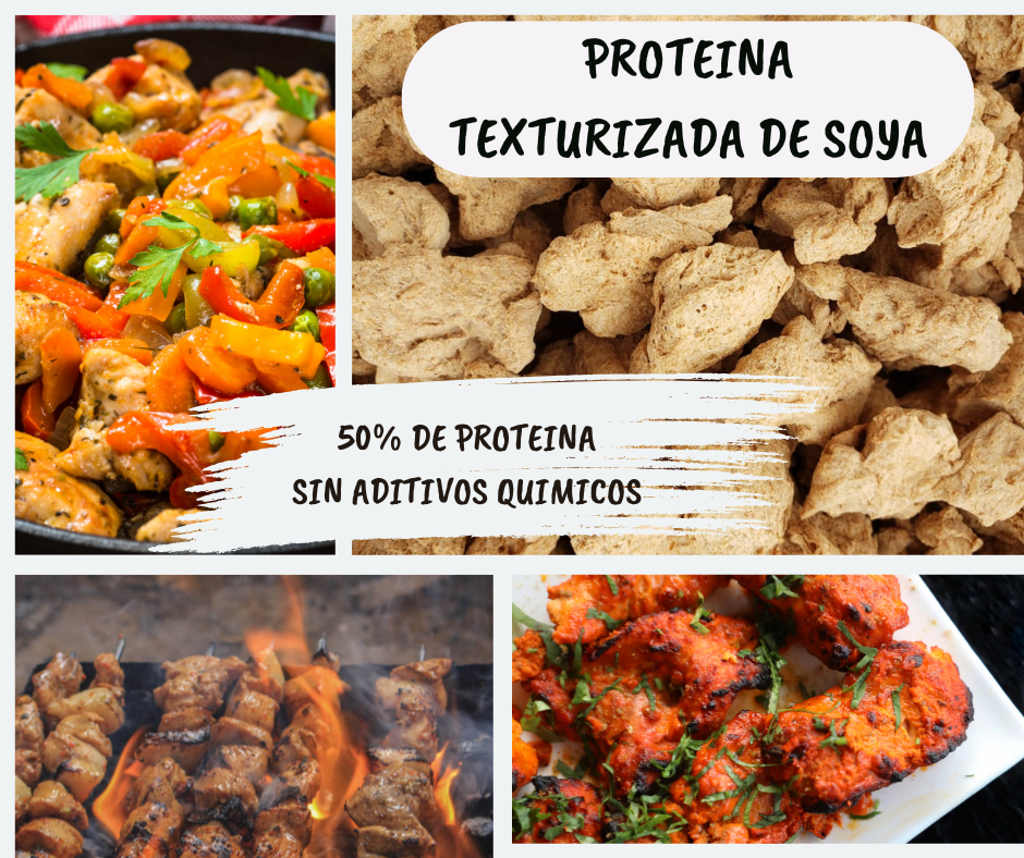 PROTEÍNA TEXTURIZADA DE SOYA - FILETES